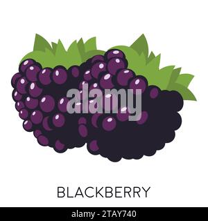 Blackberry flat icon isolated on white background. Sweet fruit. Healthy Forest berry. Eco delicious summer food. Vector illustration Stock Vector