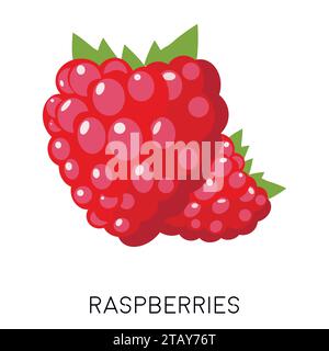 Raspberry berry flat icon isolated on white background. Sweet fruit. Eco delicious summer food. Vector illustration Stock Vector