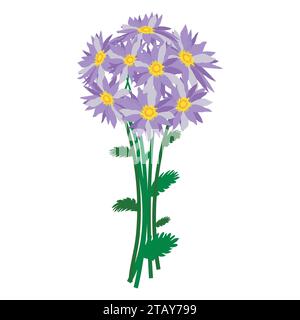 Bouquet of blue asters flowers isolated on white background. Flowers for woman gift. Vector illustration Stock Vector