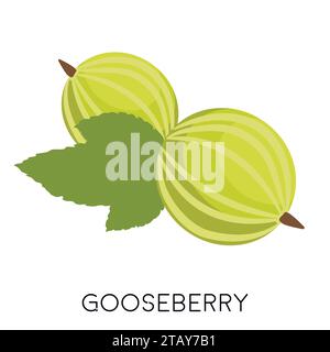 Green gooseberry berry flat icon isolated on white background. Eco delicious summer food. Fruit Vector illustration Stock Vector