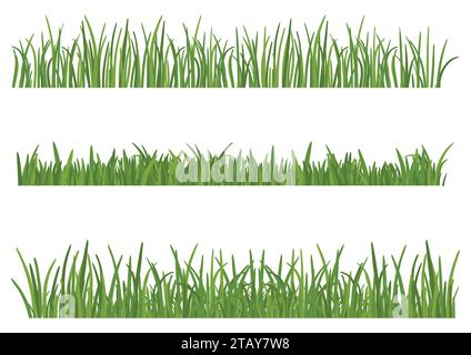 Green Grass isolated on white background. Set of Grass heights design elements of nature. Lawn vector illustration Stock Vector