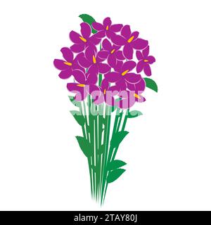 Spring bouquet of violet crocuses flowers isolated on white background. Flowers for woman gift. Vector illustration Stock Vector