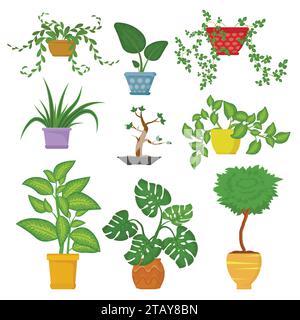 Decorative houseplants in pots set isolated on white backgrund. Decorative indoor plants. Green plant for home. Vector illustration Stock Vector