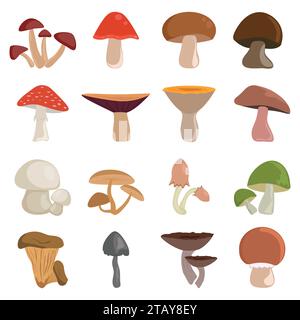 Mushrooms vector illustration set isolated on white background. Different kinds of edible and inedible cartoon mushrooms icons. Stock Vector