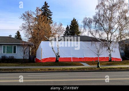 A 1950s style bungalow house under a tarp being restored or renovated. Stock Photo