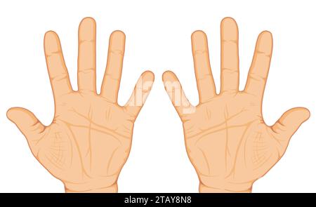 Two opened palms of the hands isolated on white background. Vector illustration Stock Vector