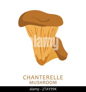 Cartoon brown Chanterelle mushrooms isolated on white background. Edible wild mushroom. Vector illustration Stock Vector