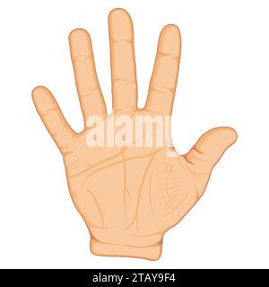 Opened palm of the hand isolated on white background, Five fingers gesture. Vector illustration Stock Vector
