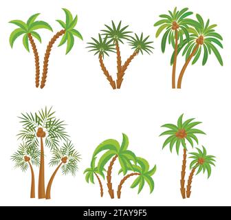 Different palm trees set isolated on white background. Tropical plants vector illustration. Rainforest jungle plants. Summer beach resort decoration. Stock Vector