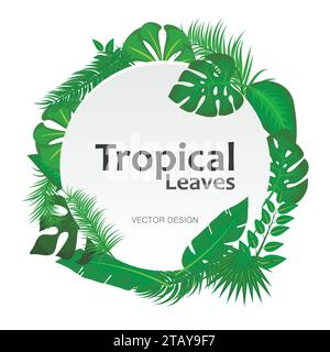 Tropical leaves background with white round sign with text space frame banner. Suitable for nature concept, vacation, and summer holiday. Stock Vector
