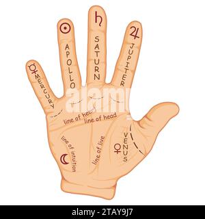 Palmistry or chiromancy hand with signs of the planets and zodiac signs. Palmistry map on open palm. Divination and prediction of the future. Stock Vector