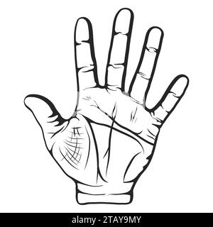 Opened palm of the hand is lifted up isolated on white background, Five fingers gesture. Divination by lines on the palm. Vector illustration Stock Vector