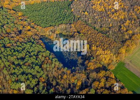 Luftbild, Naturschutzgebiet NSG Kirchheller Heide, Herbstwald mit See am Hermann-Löns-Weg, umgeben von herbstlichen Laubbäumen, Kirchhellen-Nord-West, Bottrop, Ruhrgebiet, Nordrhein-Westfalen, Deutschland ACHTUNGxMINDESTHONORARx60xEURO *** Aerial view, nature reserve NSG Kirchheller Heide, autumn forest with lake at Hermann Löns Weg, surrounded by autumnal deciduous trees, Kirchhellen Nord West, Bottrop, Ruhr area, North Rhine-Westphalia, Germany ACHTUNGxMINDESTHONORARx60xEURO Credit: Imago/Alamy Live News Stock Photo