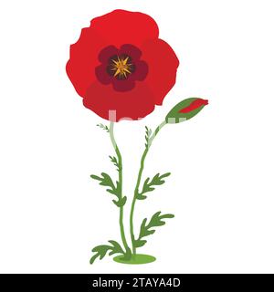 Poppy flowers. Red poppies with stems on white background. Vector Illustration Stock Vector