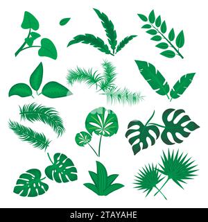 Tropical leaves vector set isolated on white background. Different green leaf collection. Jungle forest flora. Banana and exotic palm leaves in a flat Stock Vector