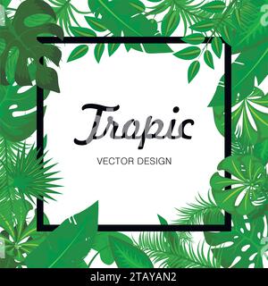 Tropic green leaves background with black frame for your text. Summer card. Exotic Jungle plants, palm leaves. Vector illustration. Stock Vector
