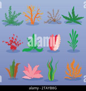 Coral reef and seaweed underwater plant. Aquarium, ocean and undersea  decoration isolated on white background. Marine tropical water life.  Cartoon vector illustration 24695560 Vector Art at Vecteezy
