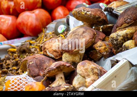 Enjoining diversity of fresh fruits on Atarazanas Central Market in Malaga, Spain Stock Photo