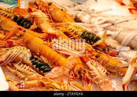 Enjoining diversity of fresh seafood on Atarazanas Central Market Stock Photo