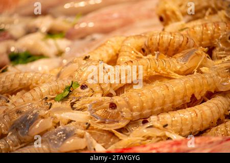 Enjoining diversity of fresh seafood on Atarazanas Central Market Stock Photo