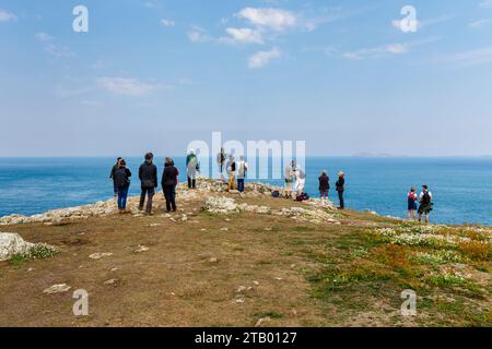 Clifftop view from Skomer, an island off the coast of Pembrokeshire, near Marloes and St Brides in west Wales, well known for its wildlife Stock Photo