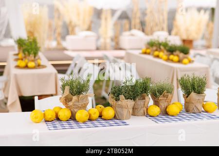 A rustic summer table with fresh lemons and herbs on a checkered tablecloth Stock Photo