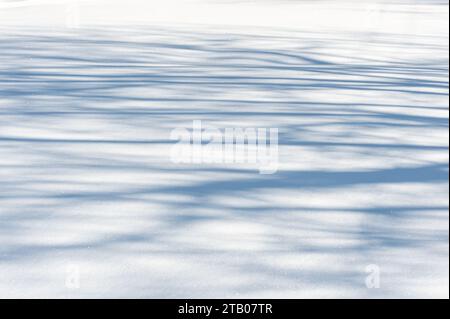 Shadows on freshly fallen snow Stock Photo