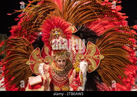 A performer from the Salgueiro samba school parades during