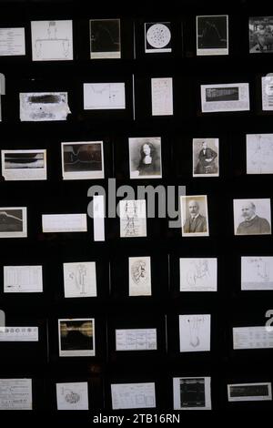 Detail of a series of small photographs depicting old doctors, drawings, x-rays, medical procedure diagrams. Part of the Siriraj Piyamaharajkarun Hosp Stock Photo