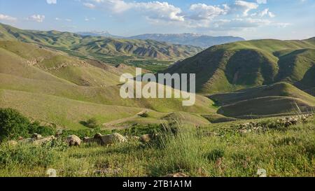 Herd of sheep grazing on the green meadows with mountains. A flock of sheep in the heights of the Iranian plateau. Lorestan. Durood Stock Photo