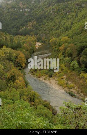The Gorges du Tarn above Ste Enimie in autumn. France. Gorges du Tarn, Gòrjas de Tarn,   Tarn gorge, Causse Méjean, Causse de Sauveterre, Lozère, Stock Photo
