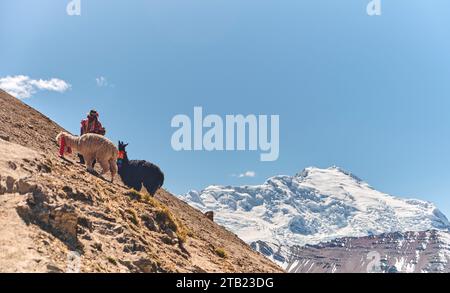 Llama pack and Native in Cordillera Vilcanota, Ausangate, Cusco, Peru Stock Photo