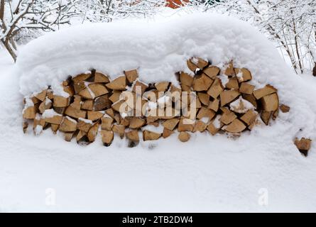 Snow-covered tree, firewood in  during snowfall. Stacked firewood. Stock Photo
