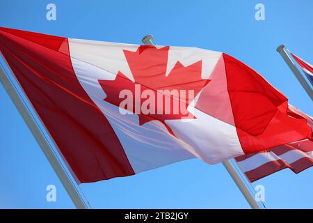 Die Flagge von Kanada weht im Wind. Blauer Himmel. Kanadische Staatsflagge. *** The flag of Canada waving in the wind Blue sky Canadian flag Credit: Imago/Alamy Live News Stock Photo