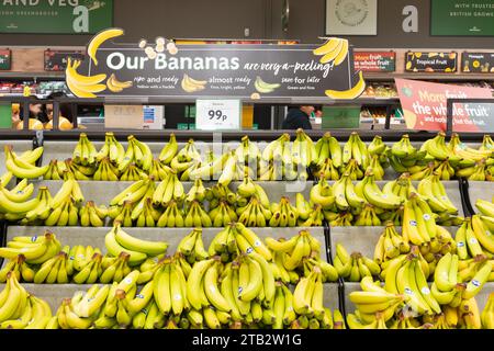 Bunches of ripe and ready yellow bananas (Cavendish) on sale on shelves at Morrisons supermarket, UK. The Cavendish is the supermarket variety Stock Photo