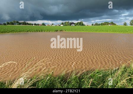 Flooded potato field due to severe storms. Cloudy and stormy sky Stock Photo