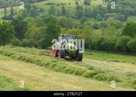 Tractor in a meadow: windrowing. Tractor with a windrower to gather hay into rows for easier drying and collection Stock Photo