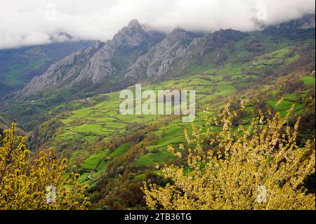 Las Ubiñas-La Mesa Natural Park and Biosphere Reserve. Cordillera Cantabrica, Principality of Asturais, Spain. Stock Photo