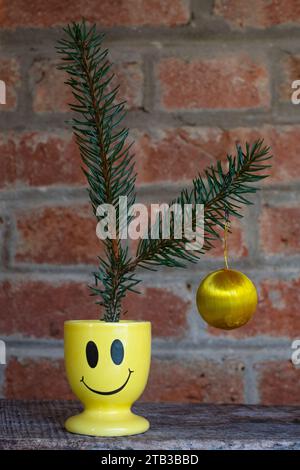 two fir fronds with single cheap hanging bauble sat in smiley face egg cup concept budget cost of living crisis christmas tree decoration Stock Photo