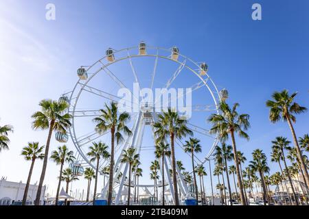 Benalmádena, Spain - November 25, 2023: Giant Ferris Wheel Mirador Princess, Panoramic viewpoint between palm trees in Puerto Marina, Benalmadena, Mal Stock Photo