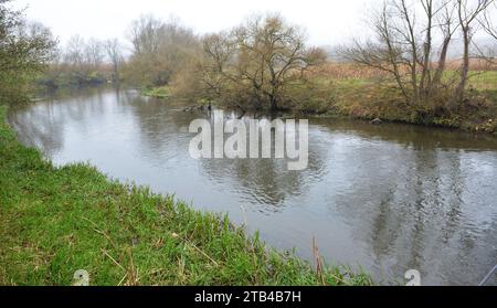 Autumn landscape with trees and a small river Stock Photo