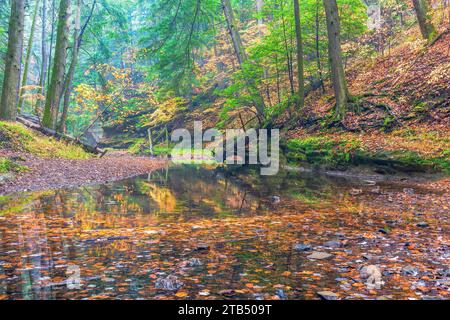 View of the picturesque valley of Queer Creek just downstream from Cedar falls in a rainy day. Hocking Hills State Park. Hocking County. Ohio. USA Stock Photo