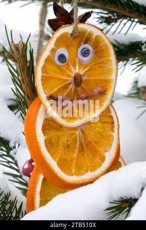 Fruity Christmas ornaments, dried, Oranges Decoration, Snow covered, Christmas Decoration face eyes figure outside Stock Photo