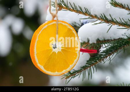 Round Christmas ornament, Dried Fruit Orange, Decoration, Hanging, snow-covered, Exterior Christmas Decoration on tree outdoors Stock Photo