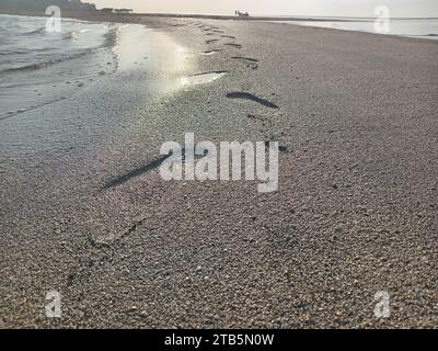 Serene Beach Footprints at Sunrise - Coastal Landscape Photography Stock Photo