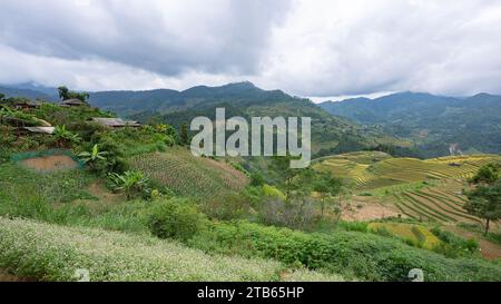 Landscape with green and yellow rice terraced fields and  cloudy sky near Yen Bai province, North-Vietnam Stock Photo