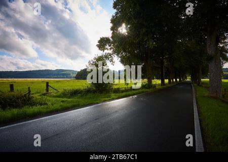 Haus Füchten bei Ense, an der Ruhr, Ense, Kreis Soest, NRW, Nordrhein-Westfalen, Deutschland, Europa, North Rhine-Westphalia, Germany, Europe Stock Photo