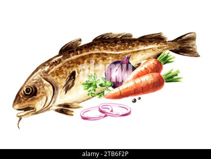 Watercolour Cod Fresh codfish. Hand drawn watercolor illustration, isolated on white ...