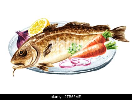 Watercolour Cod Cod fish watercolor illustration isolated on white background Stock ...