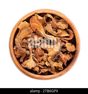 Dried chanterelles in a wooden bowl. Golden chanterelle mushroom, Cantharellus cibarius, also known as girolle, with a yellow color. Stock Photo
